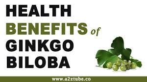 Benefits Of Ginkgo